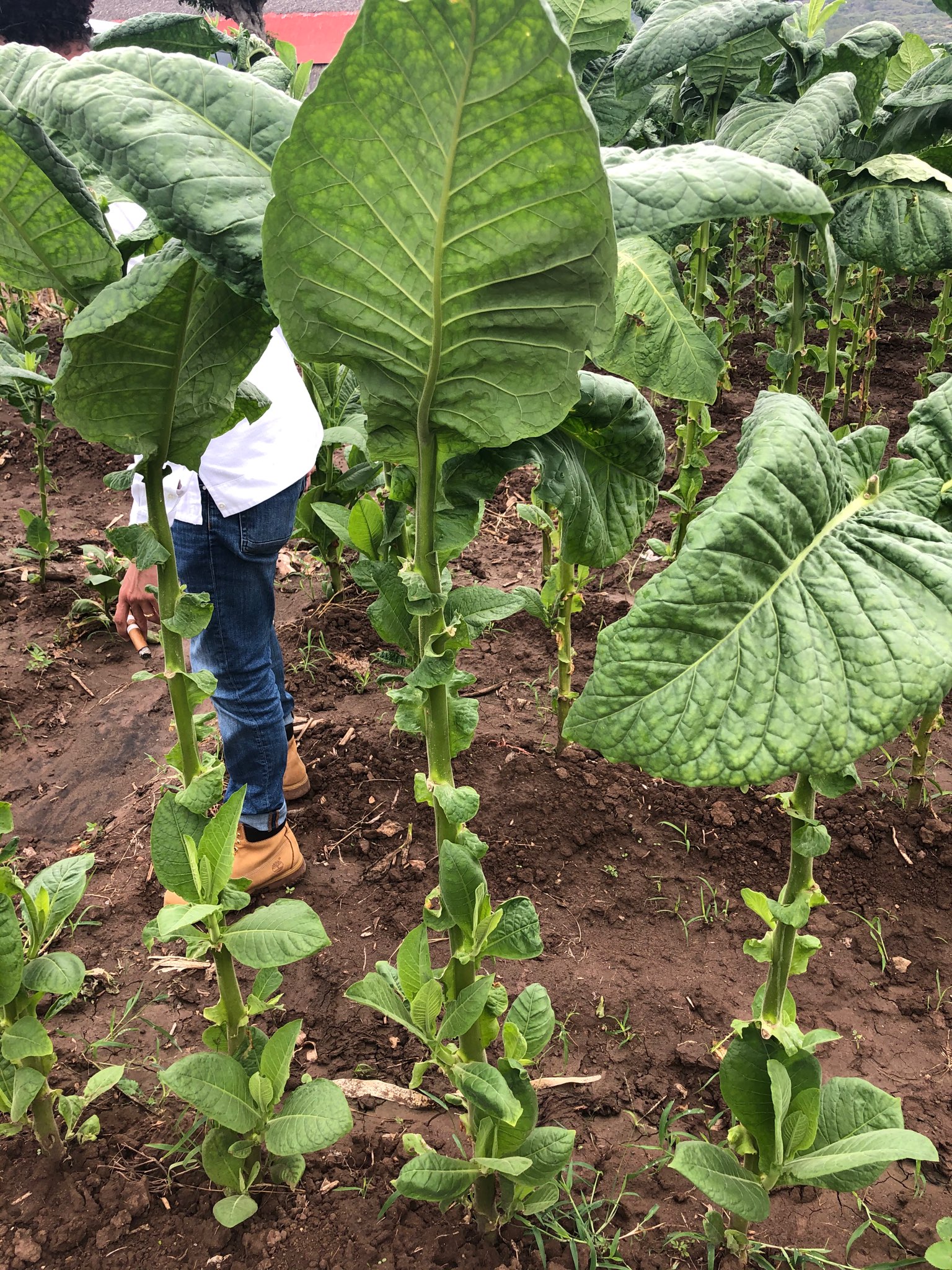 Georgina\'s trip to the Dominican Republic